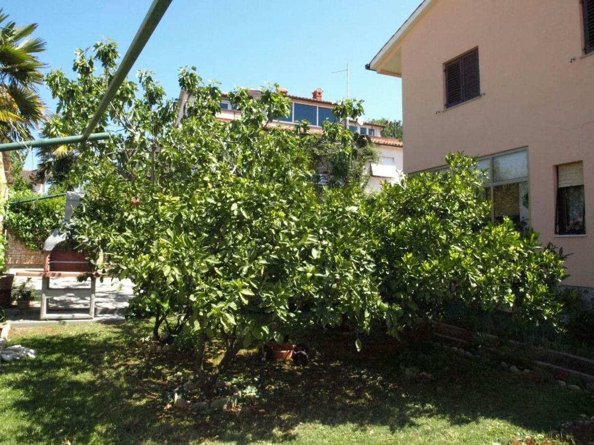 Apartman Celestina Medulin Kültér fotó